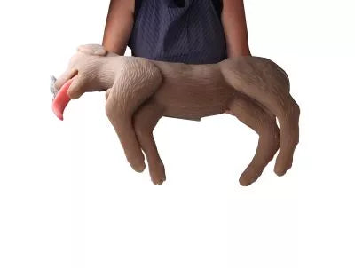 Canine CPR Manikin "CooPeR"