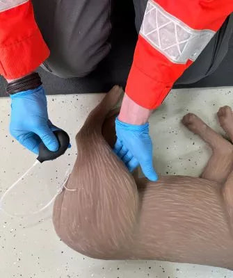 Canine CPR Manikin "CooPeR"