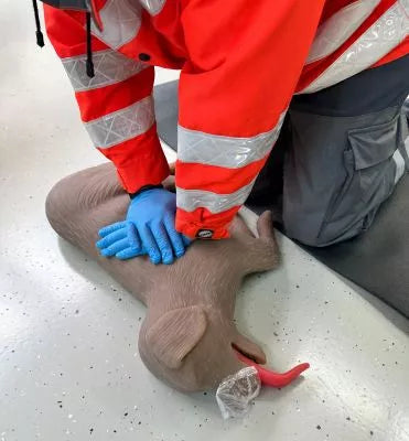 Canine CPR Manikin "CooPeR"