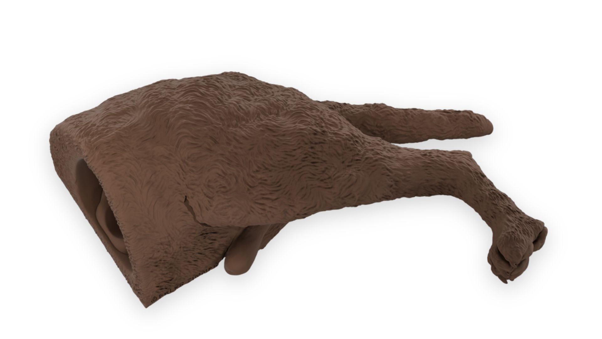 “Rex” Male Dog Catheterization Simulator - Erler-Zimmer VET4695