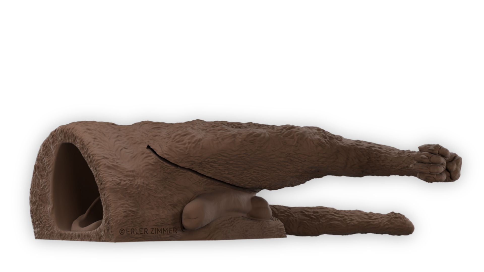 “Rex” Male Dog Catheterization Simulator - Erler-Zimmer VET4695, view 5