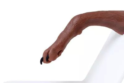 Canine claw trimming paw