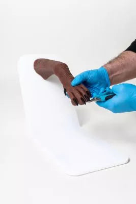 Canine claw trimming paw