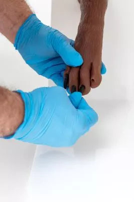 Canine claw trimming paw