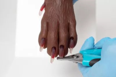 Canine claw trimming paw