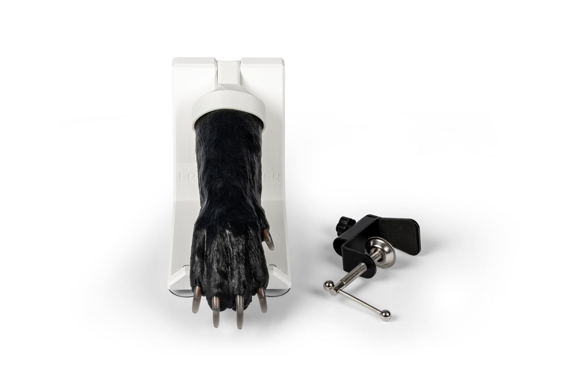 Canine Claw Trimming Paw