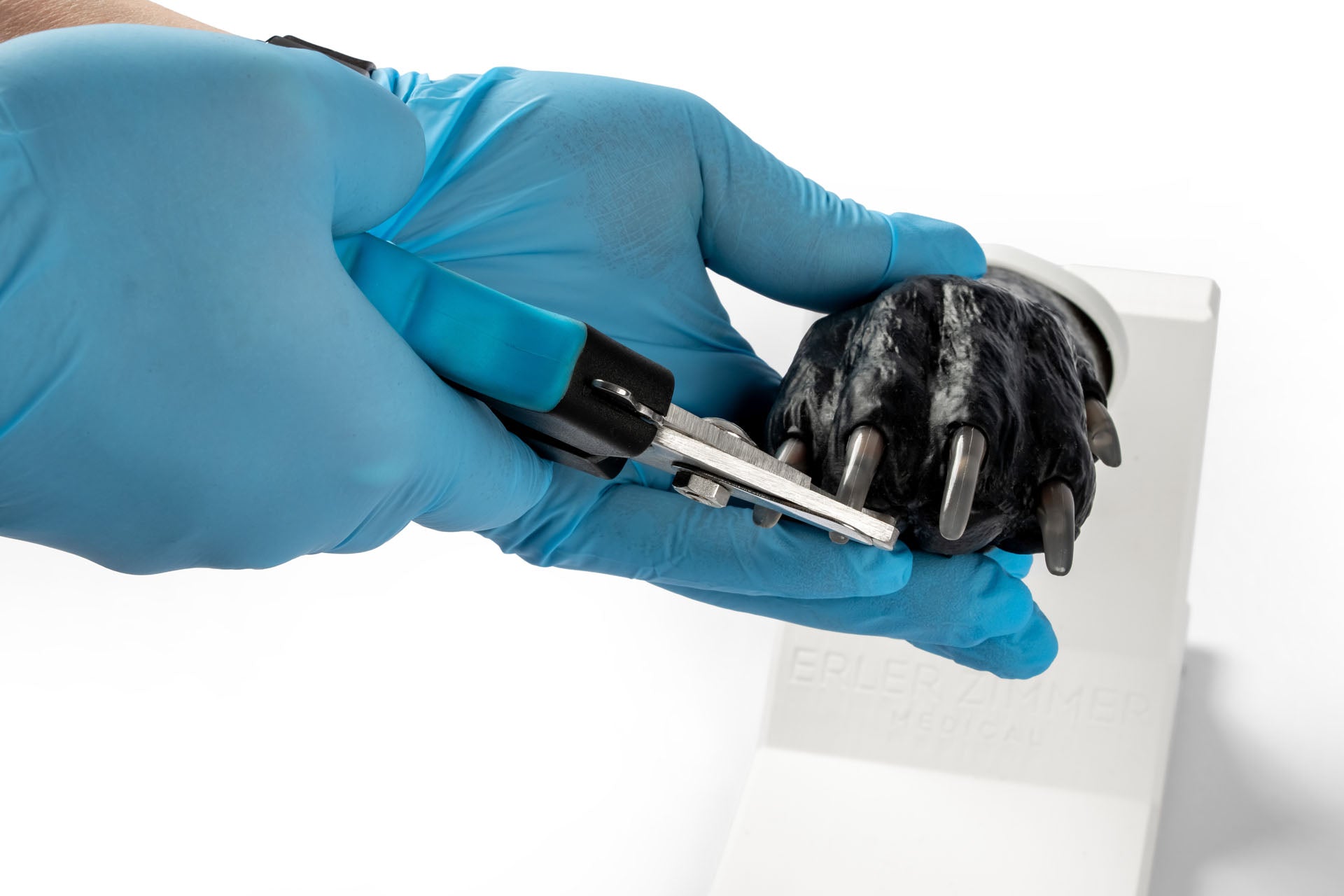 Canine Claw Trimming Paw