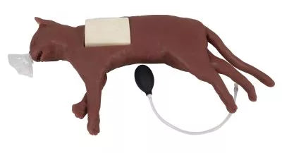 Feline CPR Manikin "CaPpeR"