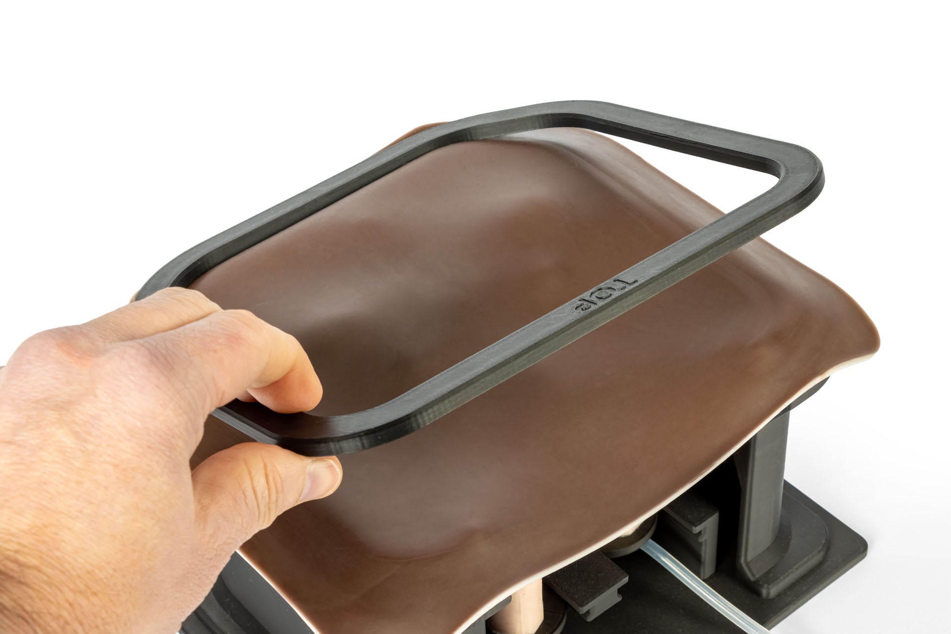 Equine Castration Surgical Simulator