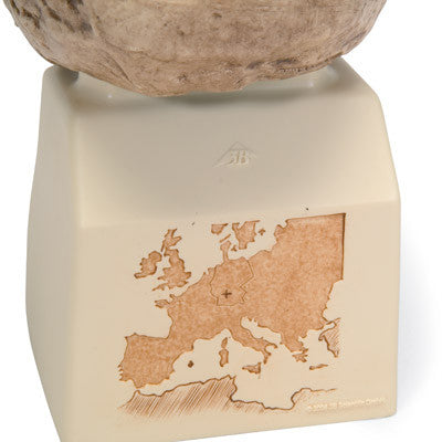 Replica Homo steinheimnensis Skull (Berkhemer, 1936)