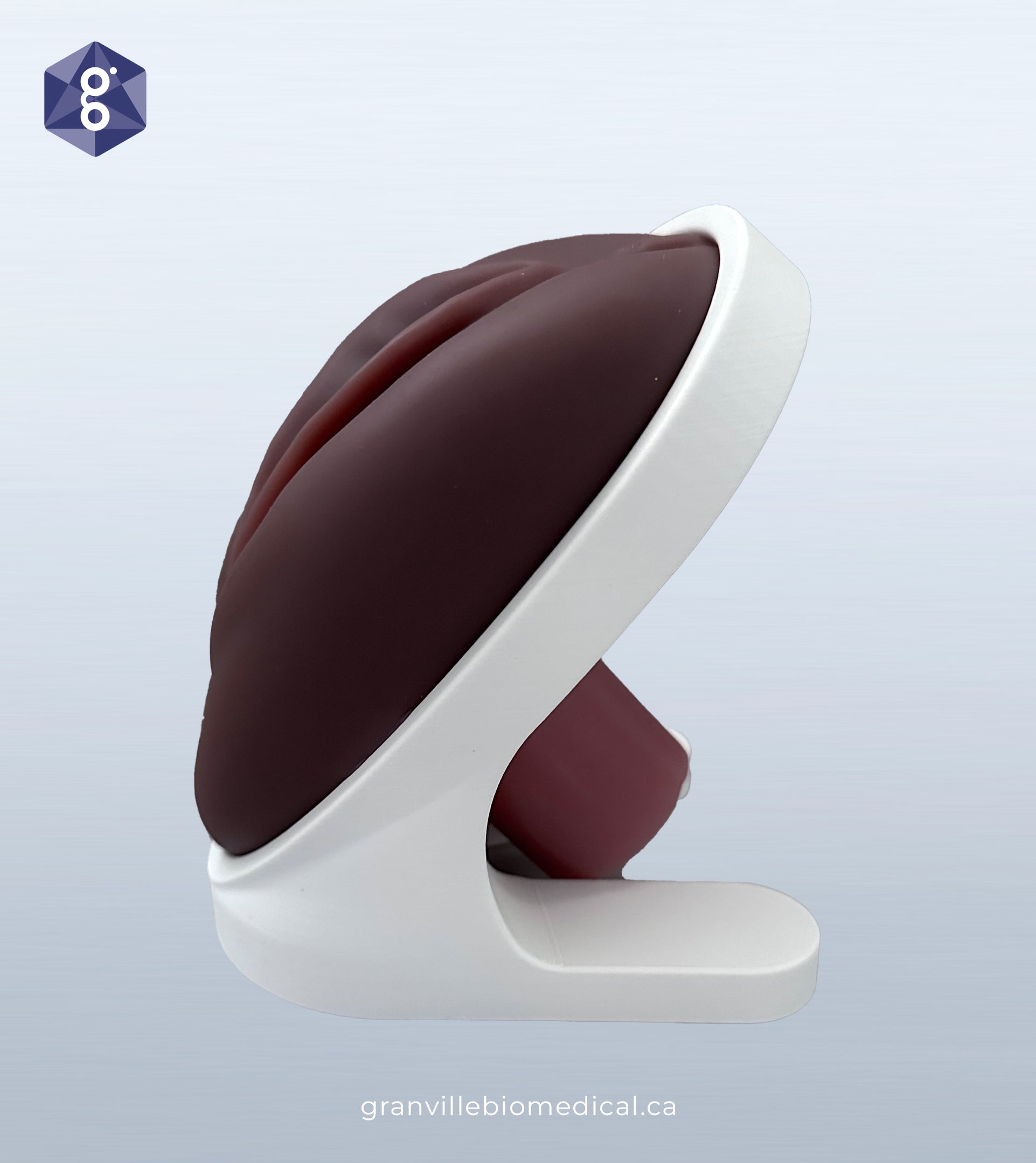 Venus pelvic health model in dark skin tone, side view