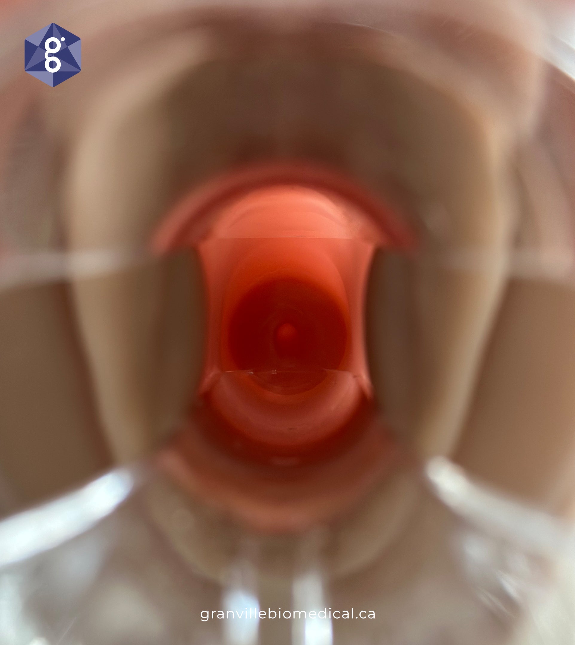 Venus pelvic health model with speculum, alternate view