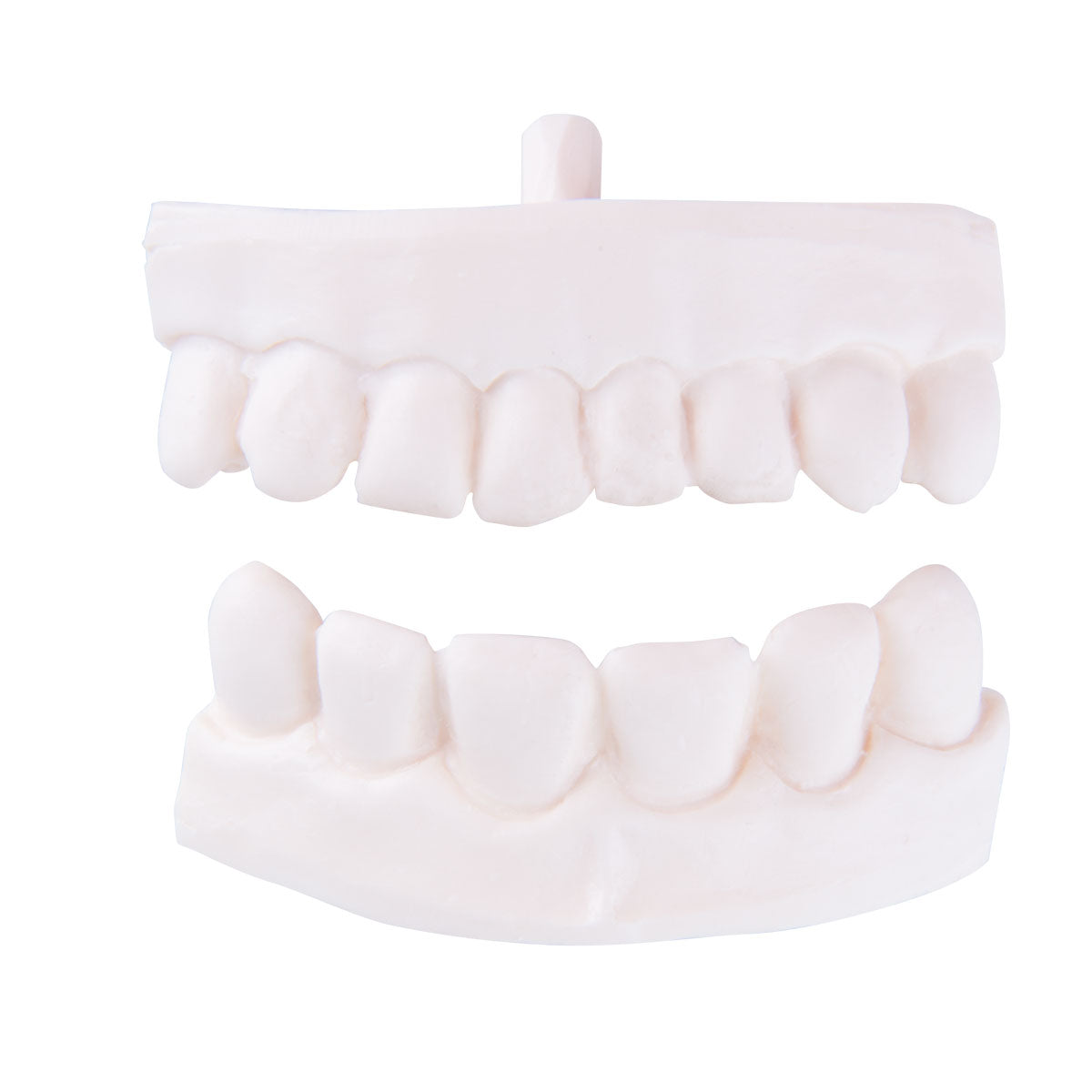 Spare dental partial prosthesis for P10 and P11