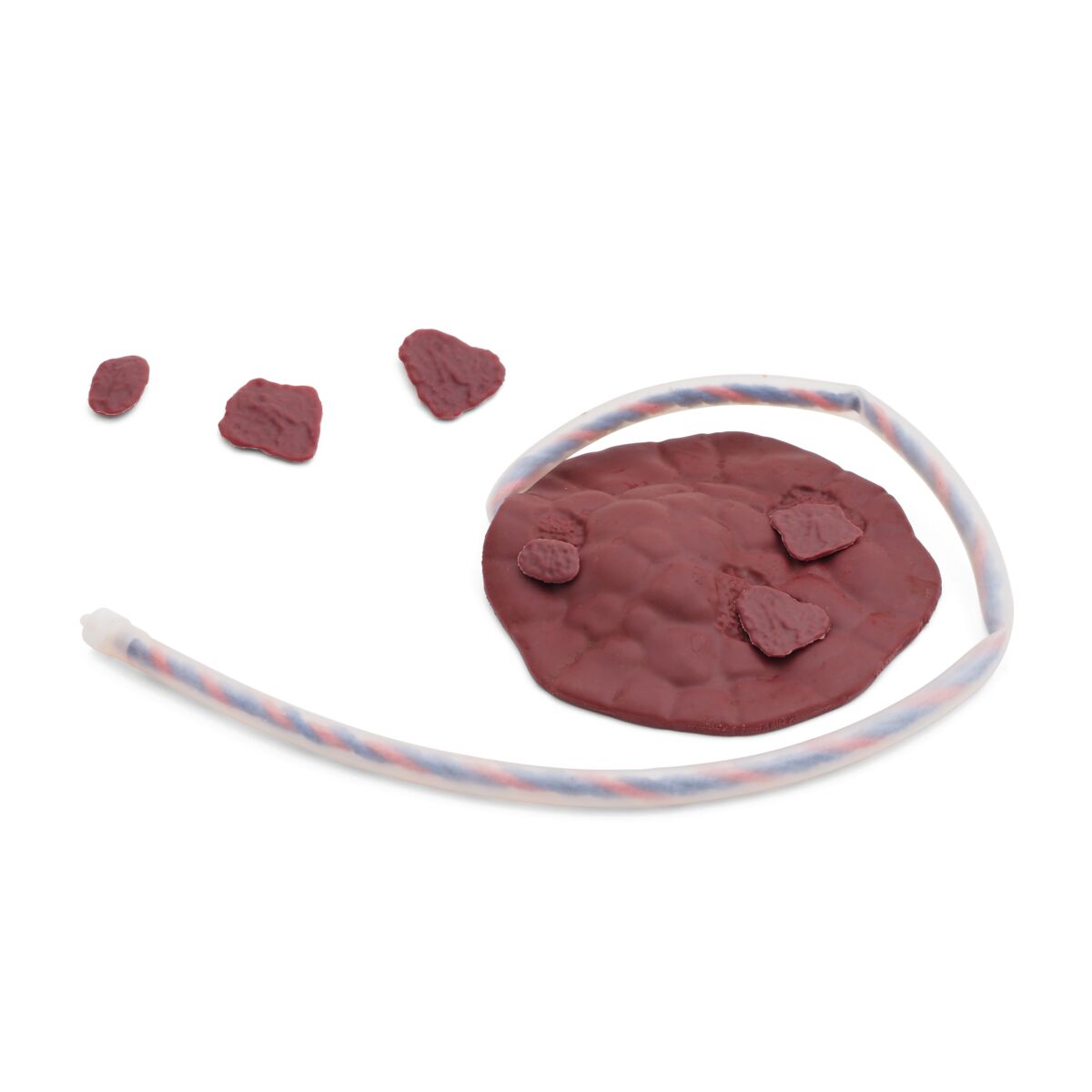拙作「Placenta」 Placenta with 2 sets of residual pieces XP97P-003