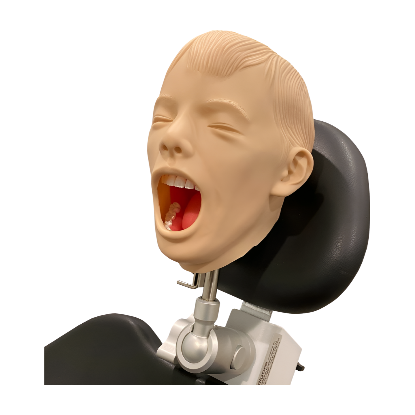 Pediatric Radiology Manikin