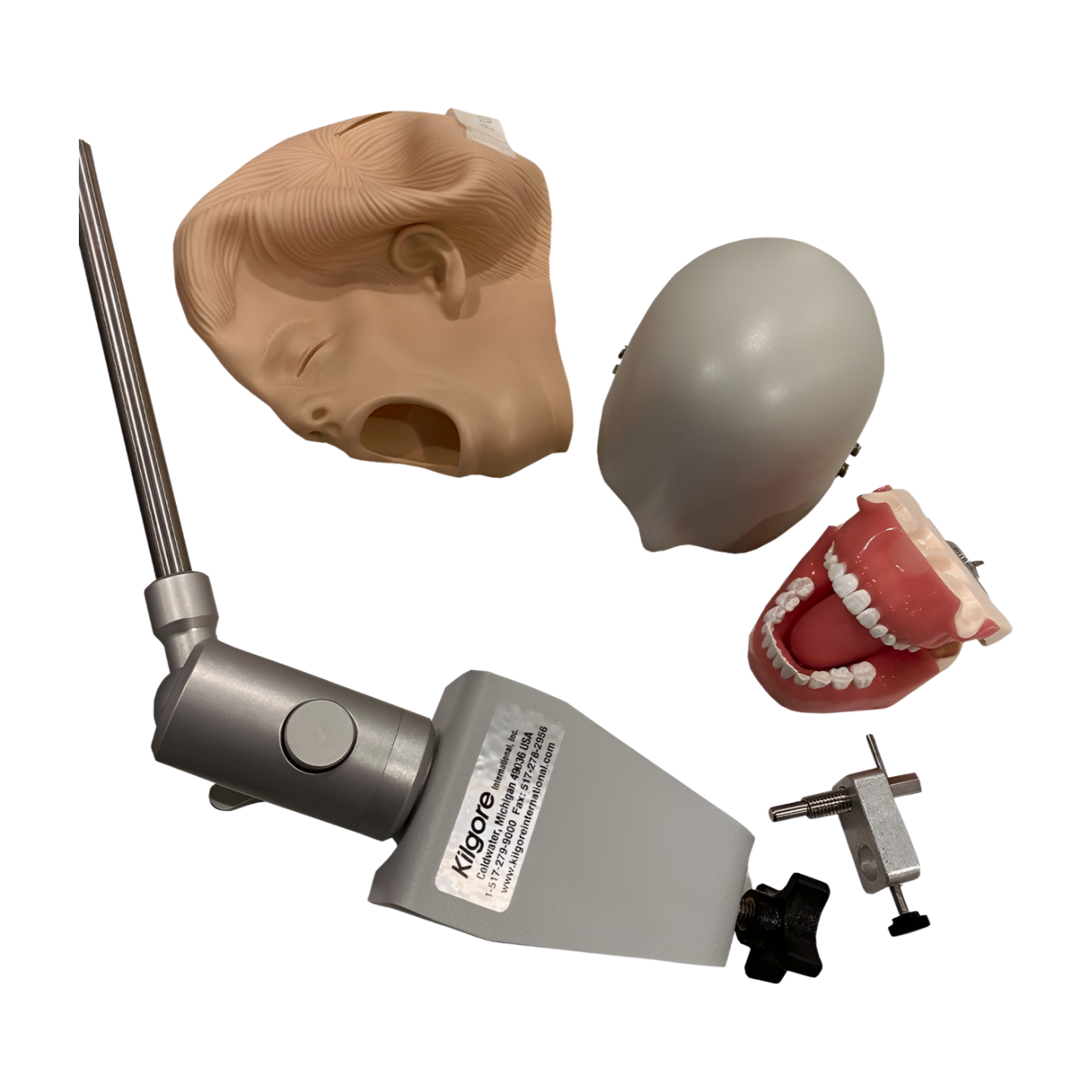 Pediatric Radiology Manikin