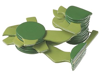 Chloroplast of Higher Plant