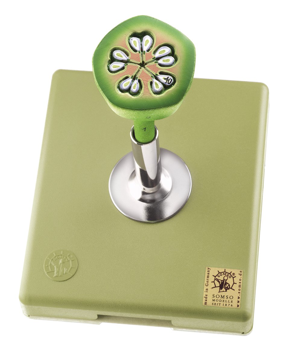 Apple Blossom - Cross Section of the Ovary