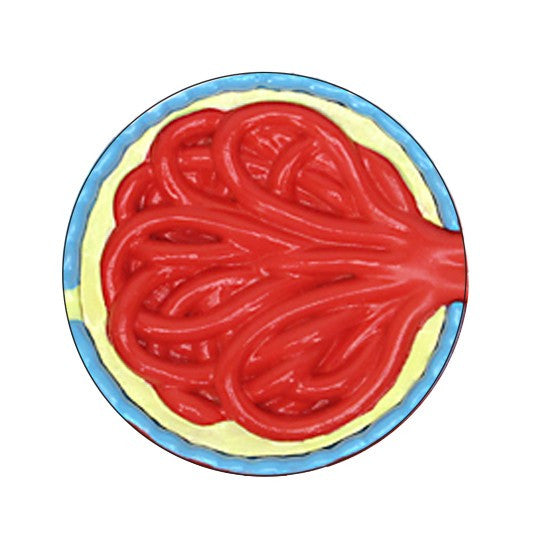4-Piece Diabetes model - cross section view 2