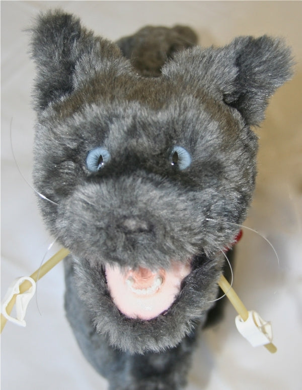 Critical Care Fluffy