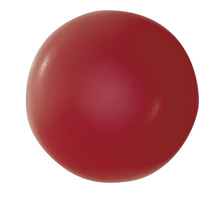 Red Blood Cell