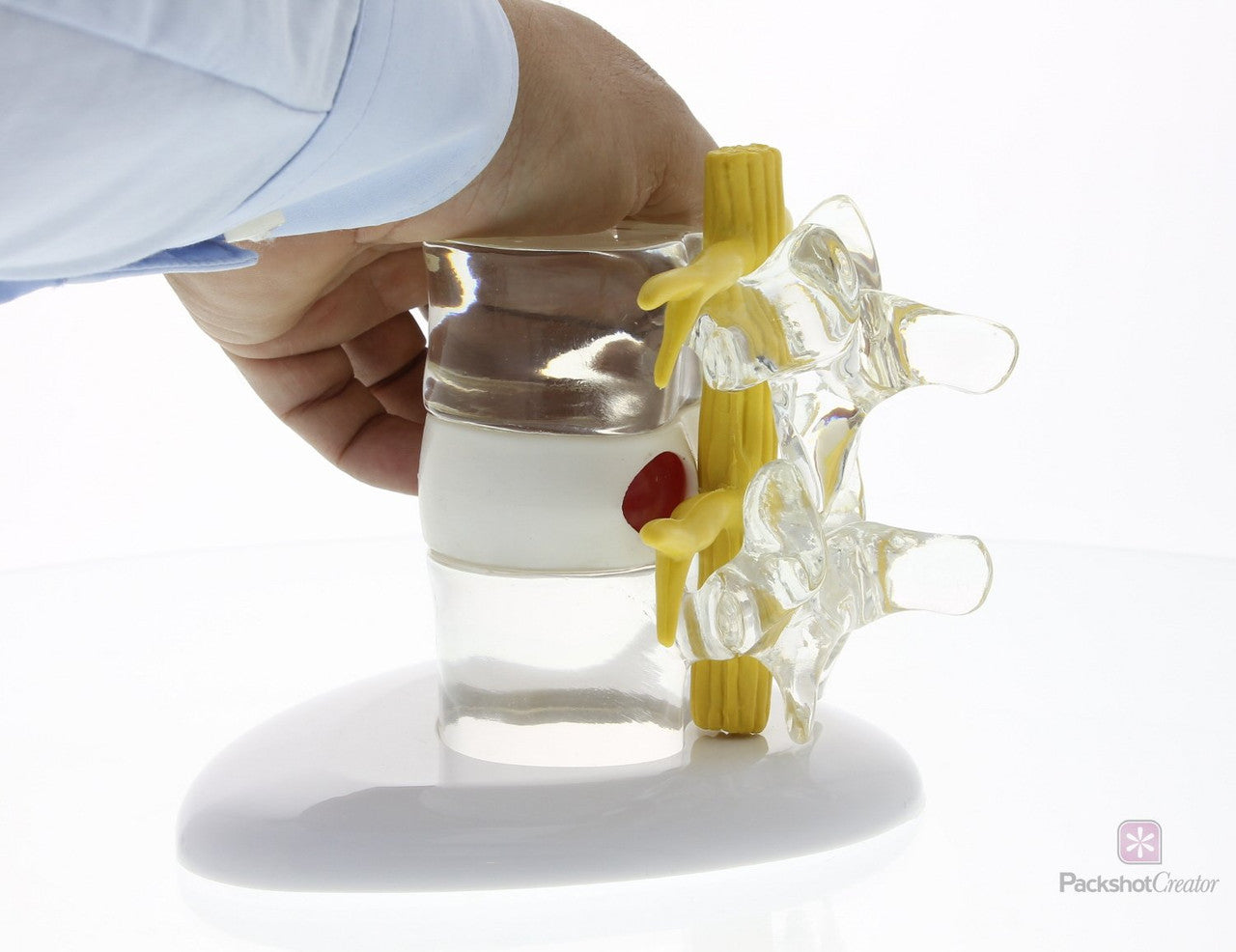 Herniated Disc Simulator