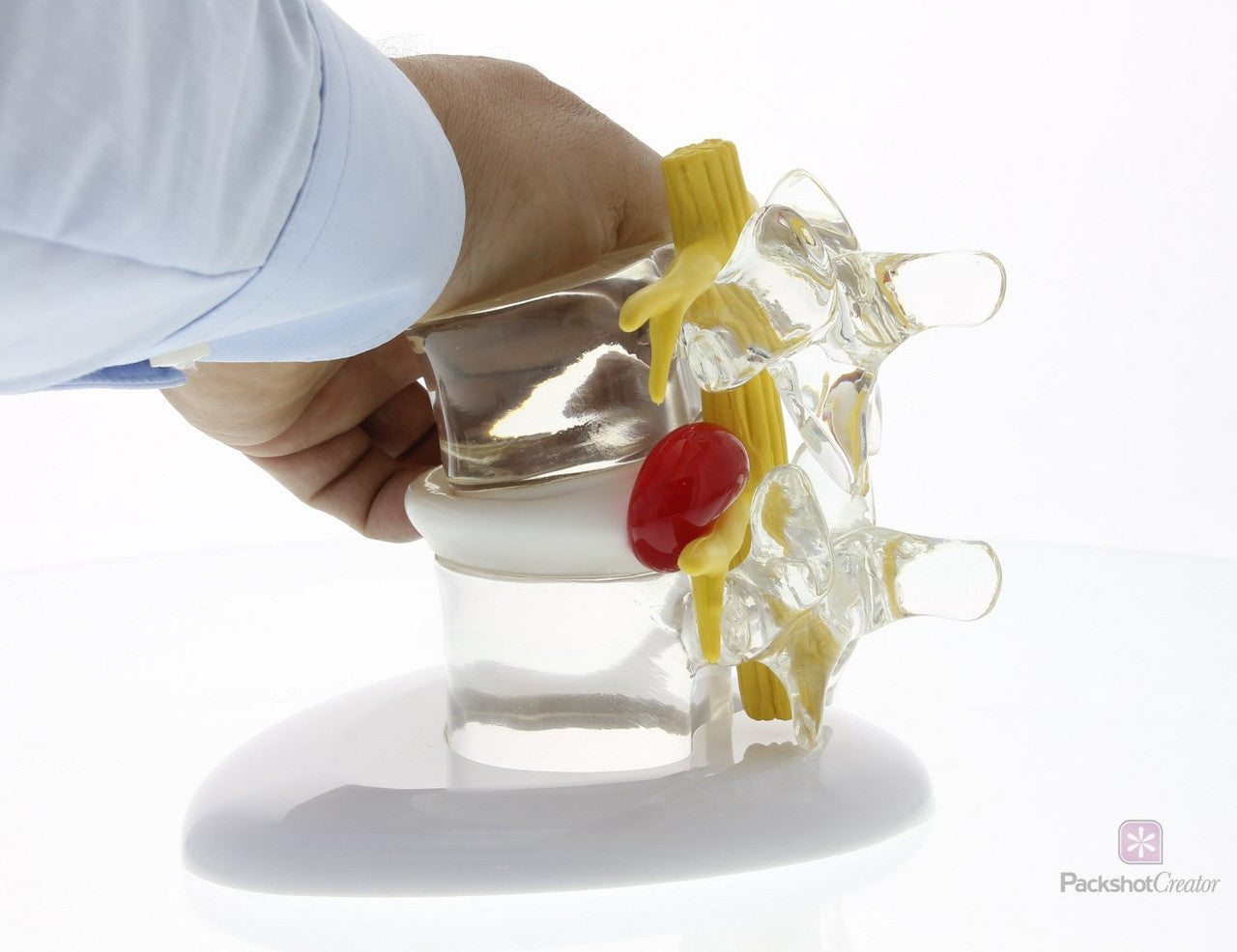 Herniated Disc Simulator - bulging