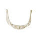 Hyoid Bone Model Somso Qs 17/3