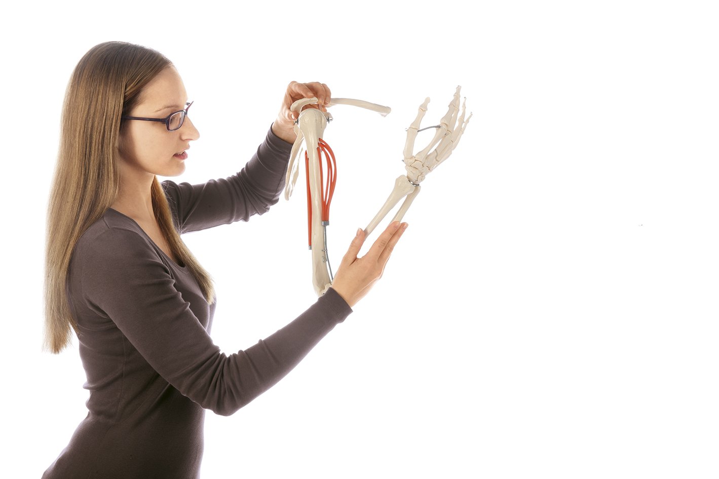 Movements of Muscles in the Upper Arm