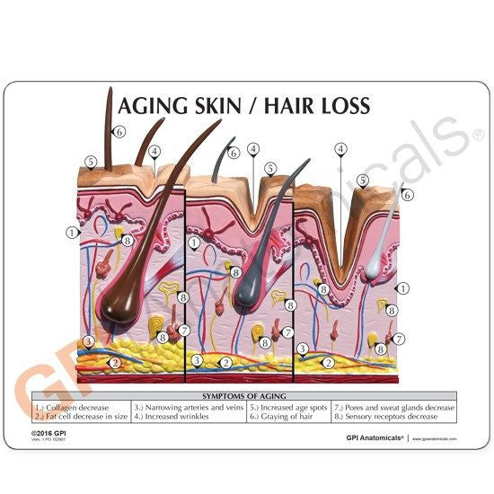skin-model-3-550x550__93191.1643511677.1280.1280.jpg