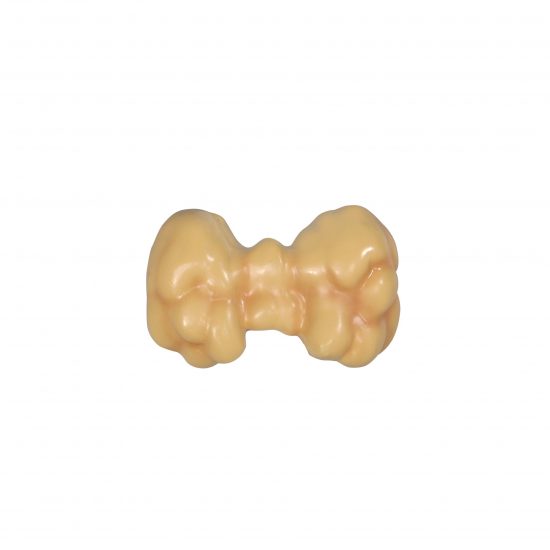 Thyroid