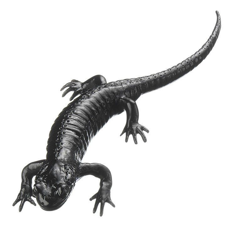 Alpine salamander, Female Somso ZoS 1000/1