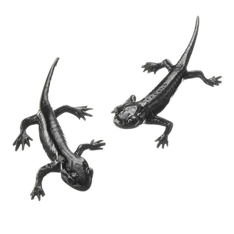 Alpine salamander, 2 young specimens Somso ZoS 1000/2