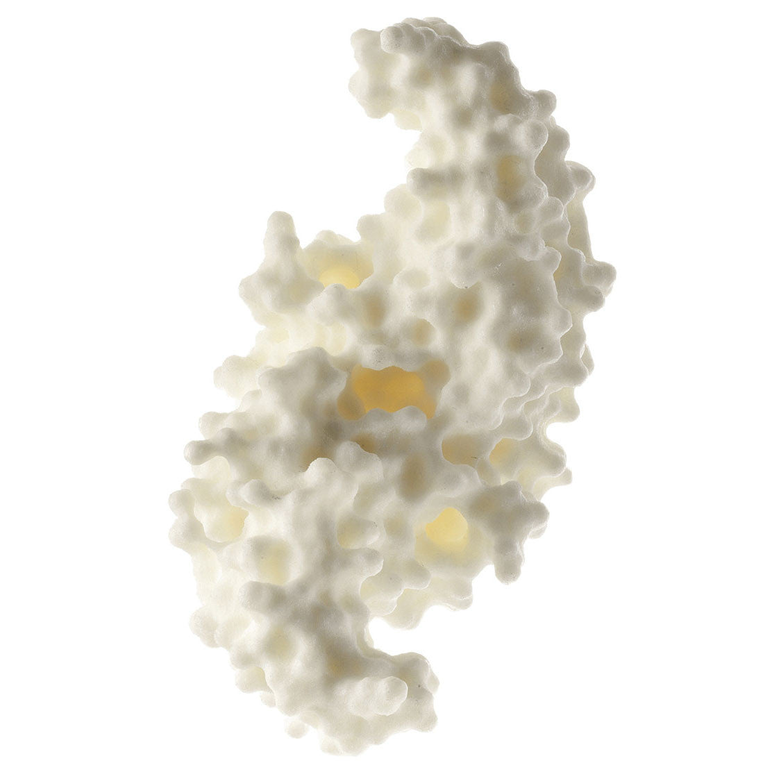 Protein Model (human bone Morphogenetic protein BMP-2) 1 Somso ZoS 57/10