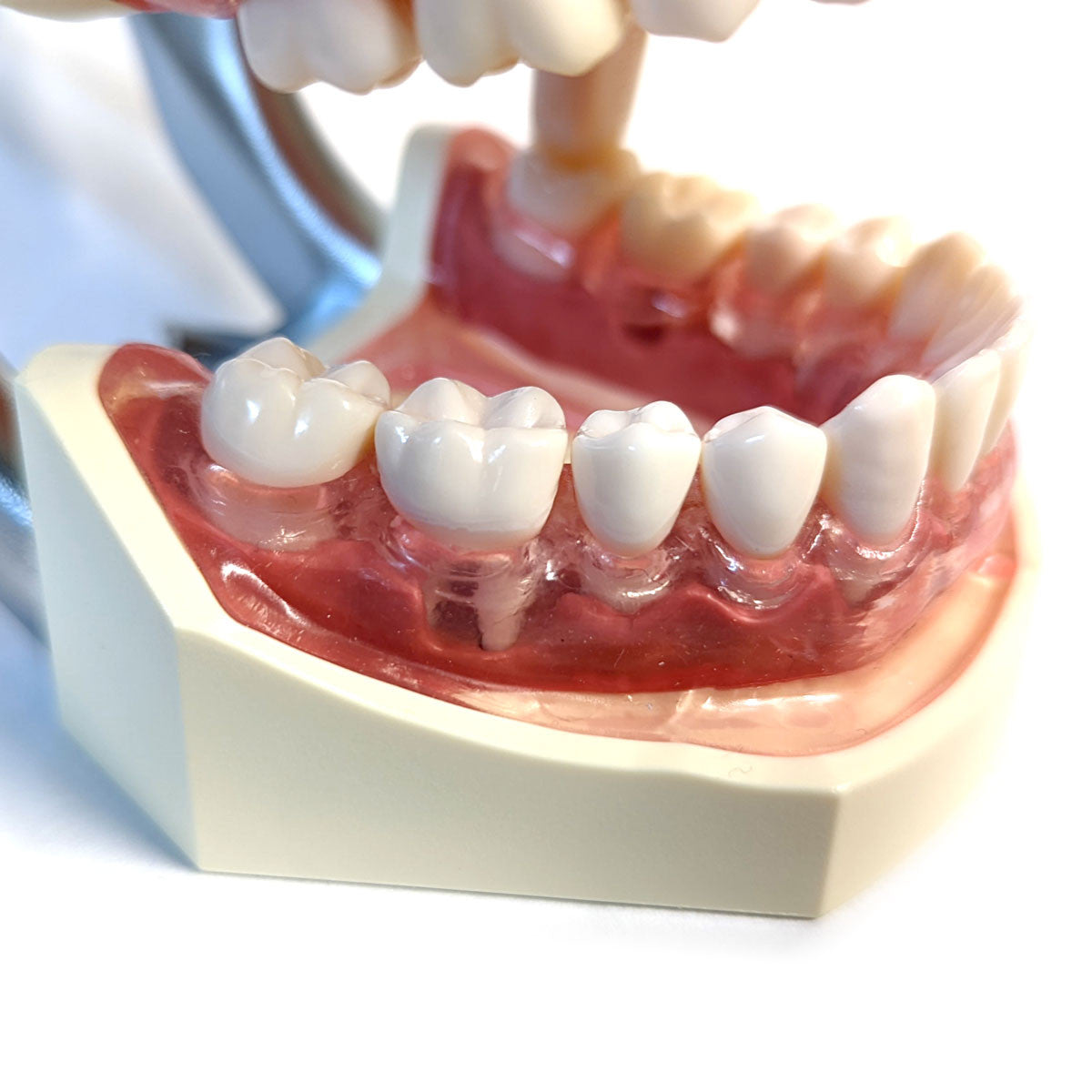 500HPRO - Calibration & Probing Model