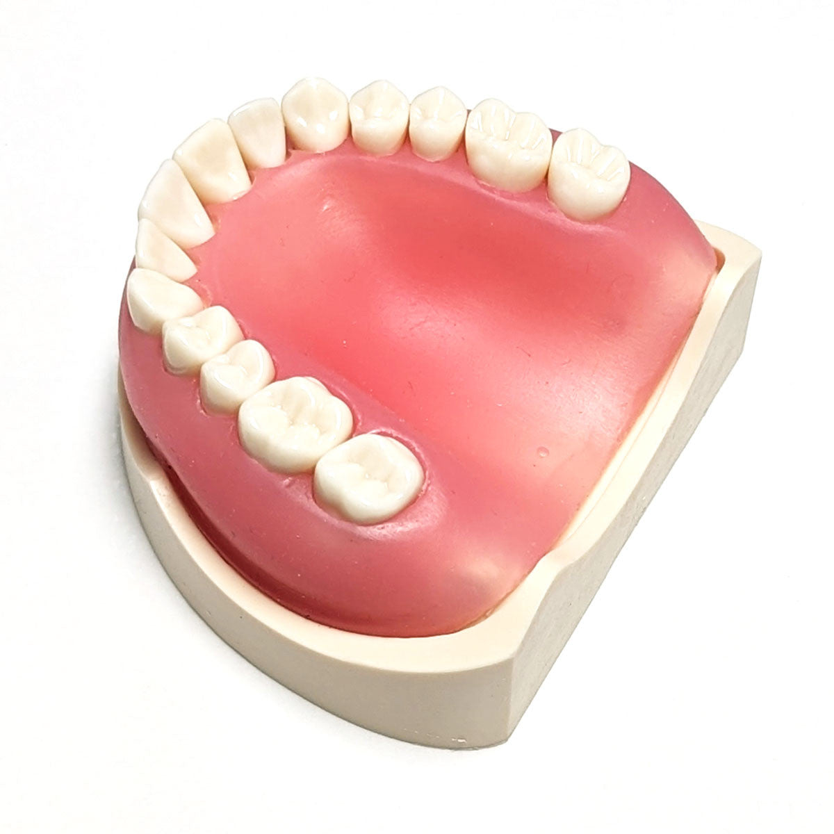 Crown Lengthening