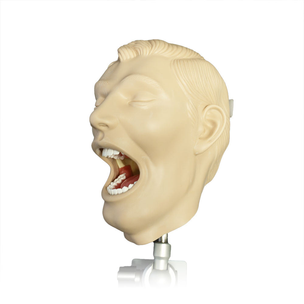 XR Artificial Radiographic Training System