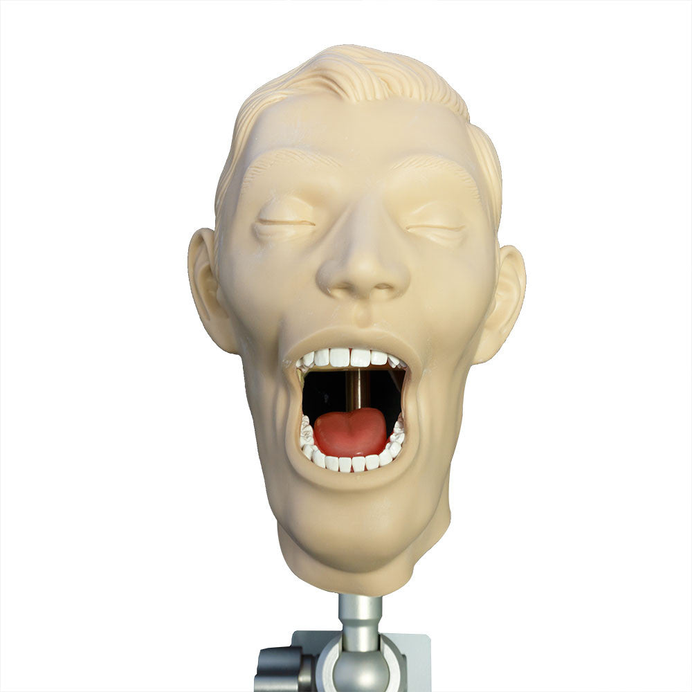 XR Artificial Radiographic Training System