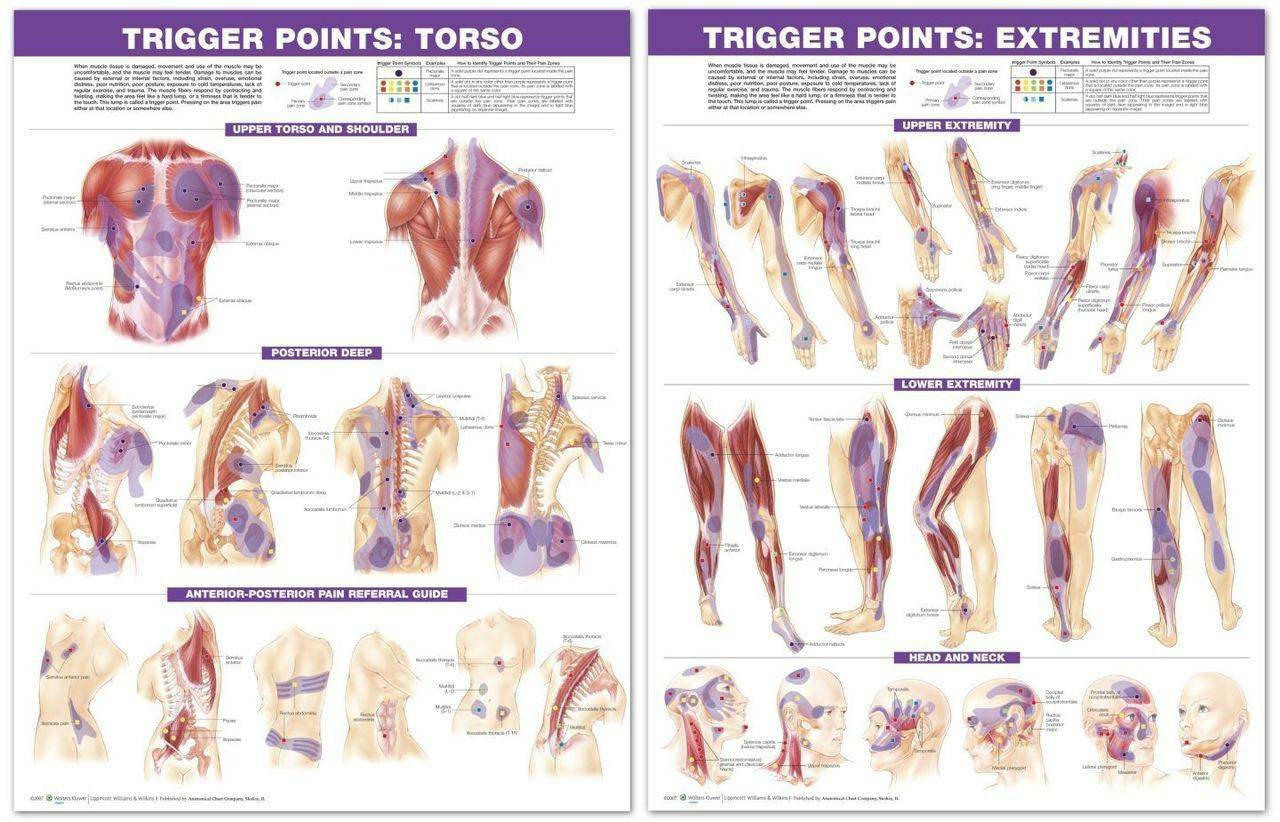 Trigger Point Charts, set of two