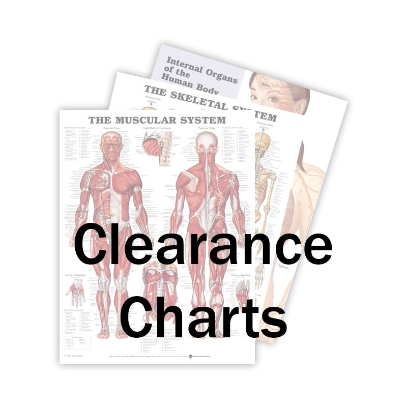 Discontinued Chart, 20" x 26"
