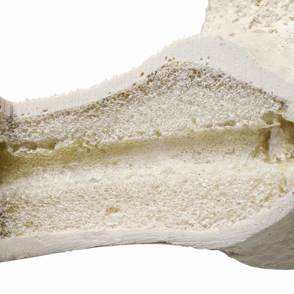 ORTHOBone Premium Hemi Pelvis, male,right