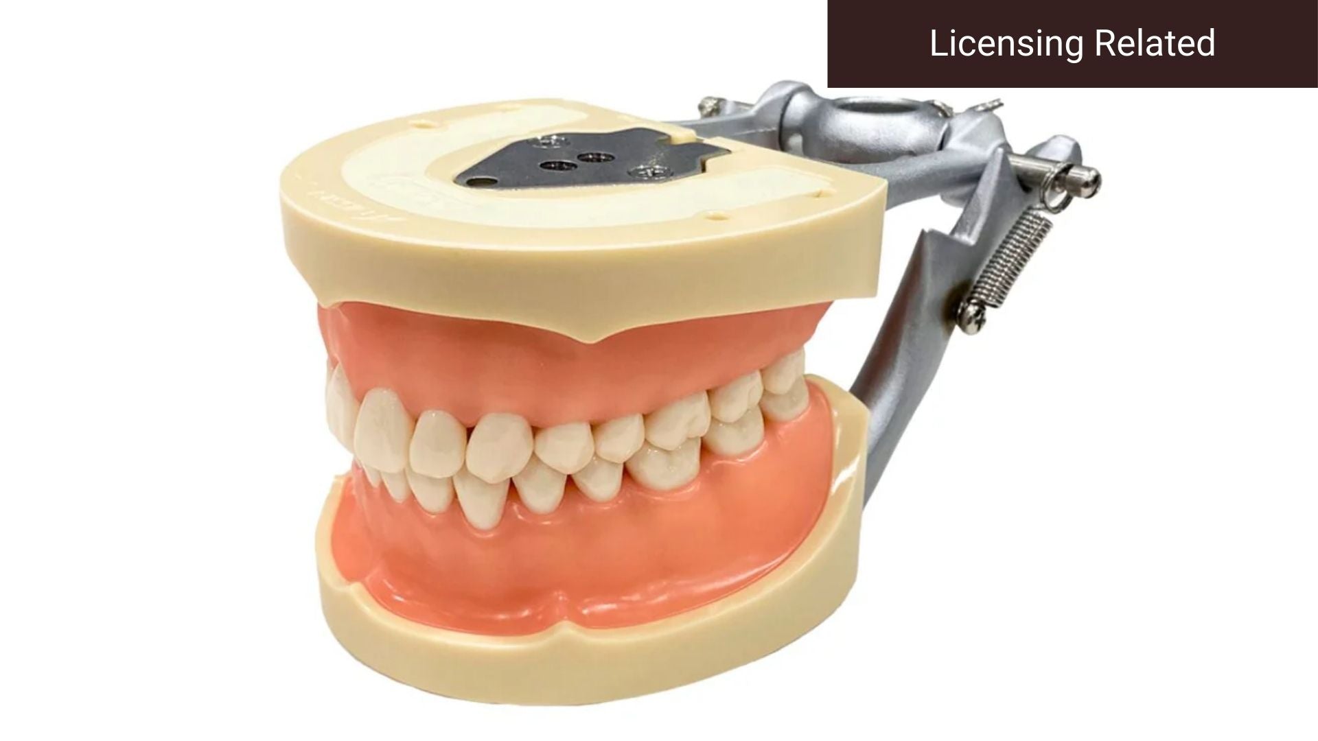 User Guide for D95SDP-700 (GUB)