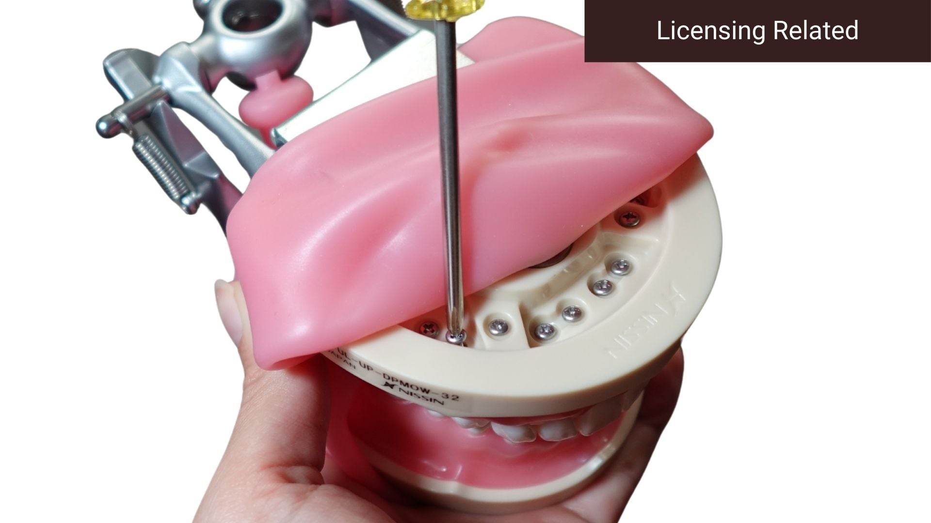 User Guide for D95SDP-700(GUB)-OCC-DARWIN