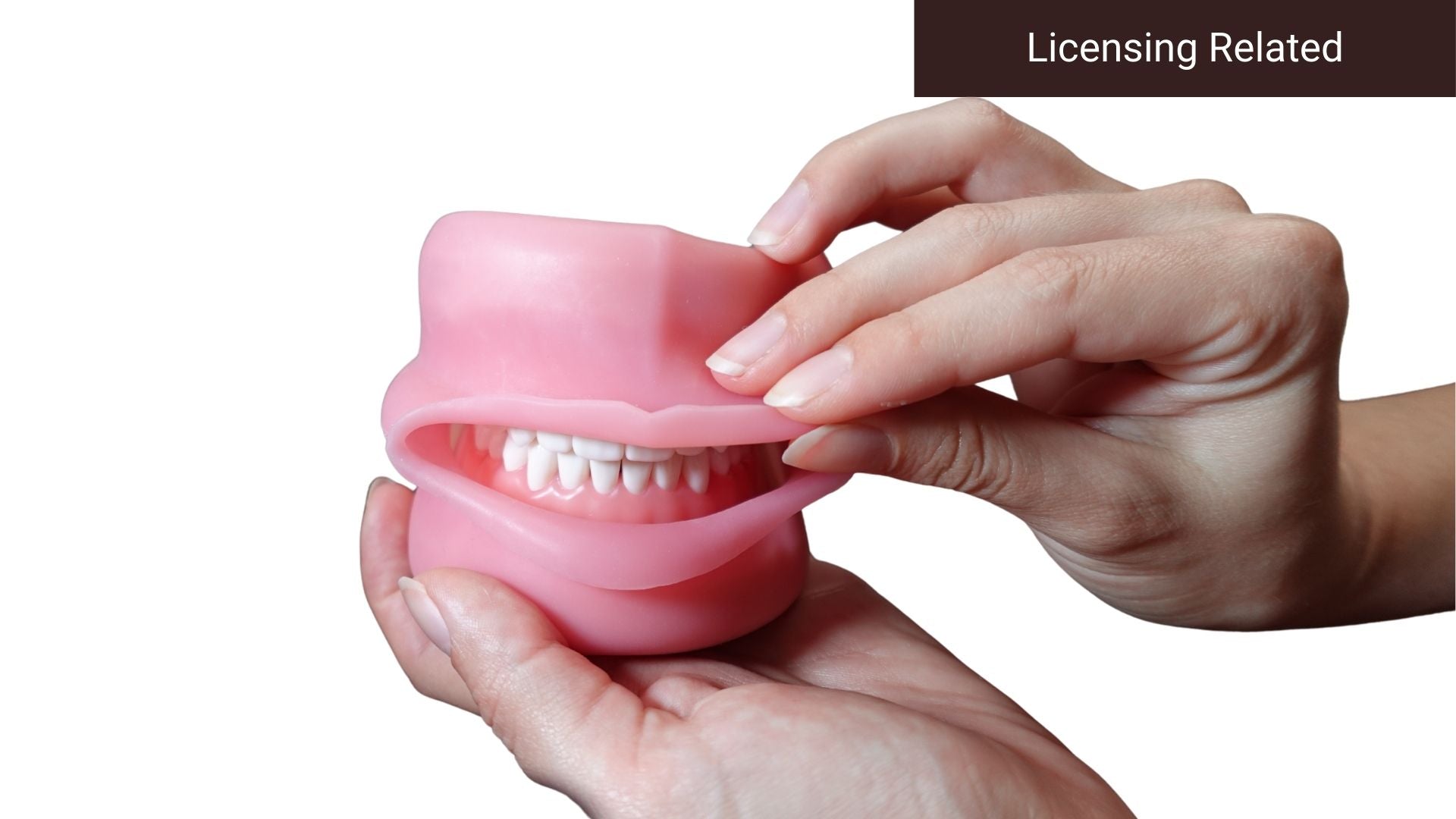 User Guide for D95SDP-700(GUB)-OCC