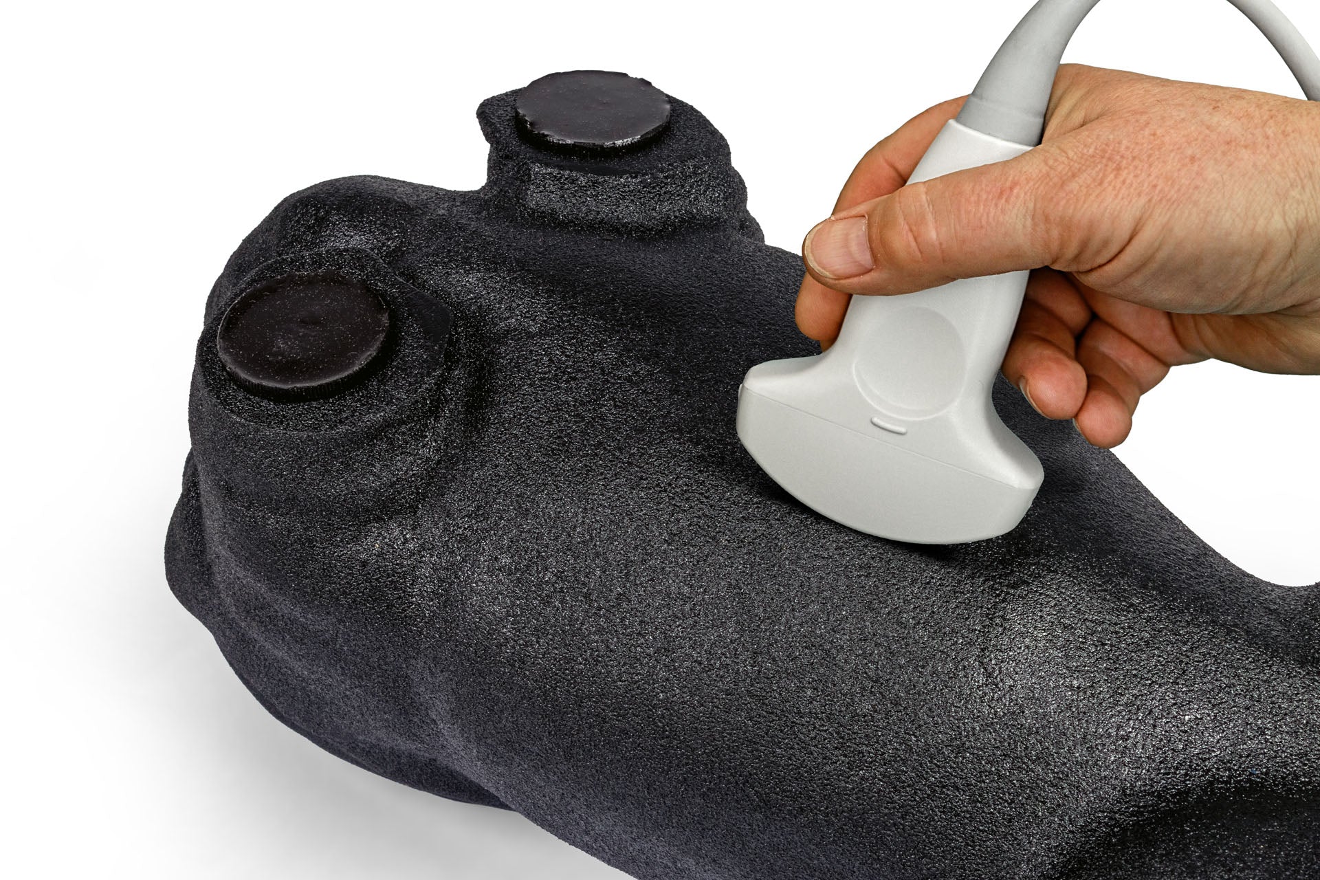 Advancing Veterinary Ultrasound Education in Canada: The Lillie Canine Ultrasound Phantom