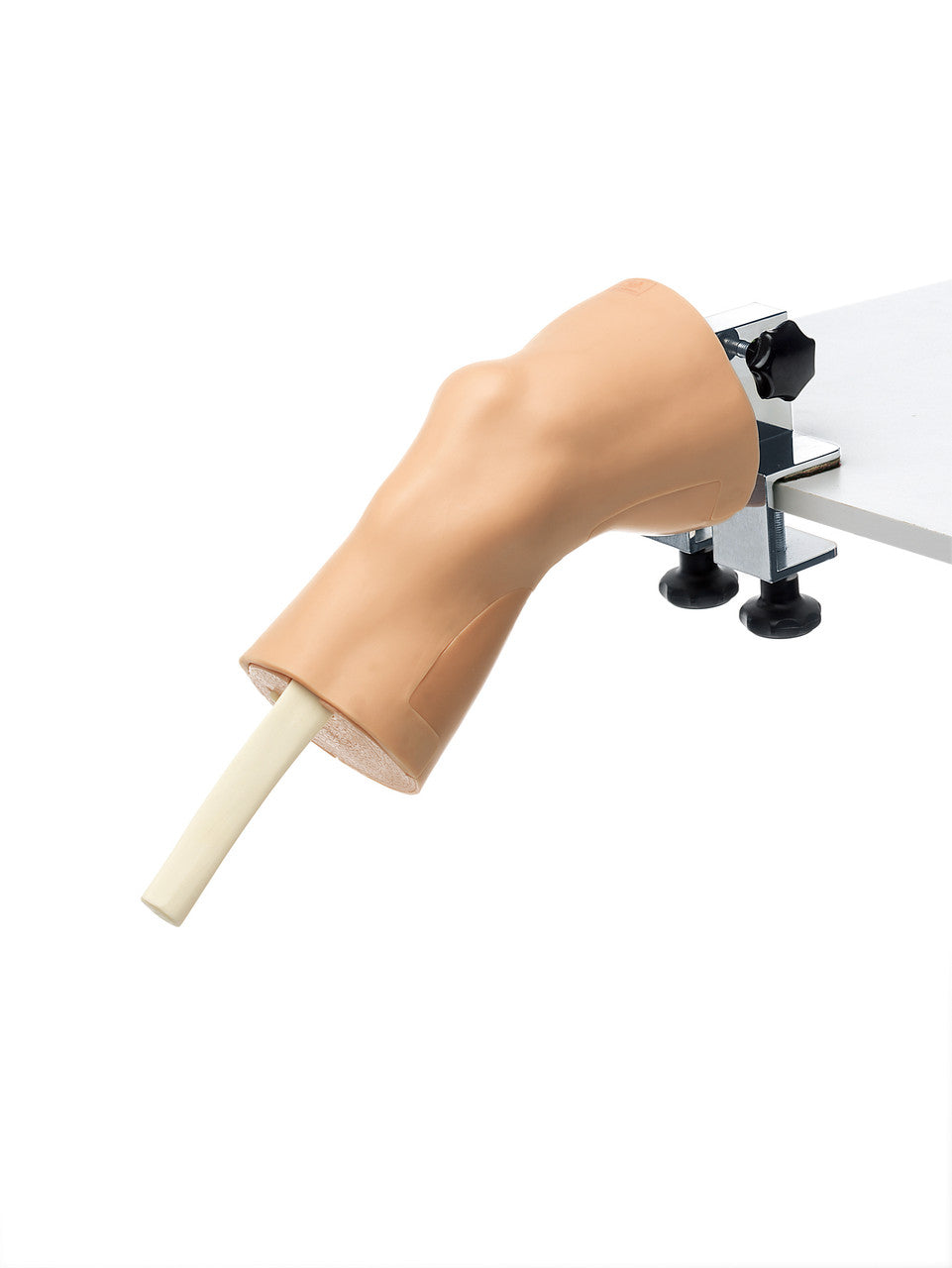 Arthroscopy Model of the Knee-Joint - mounted