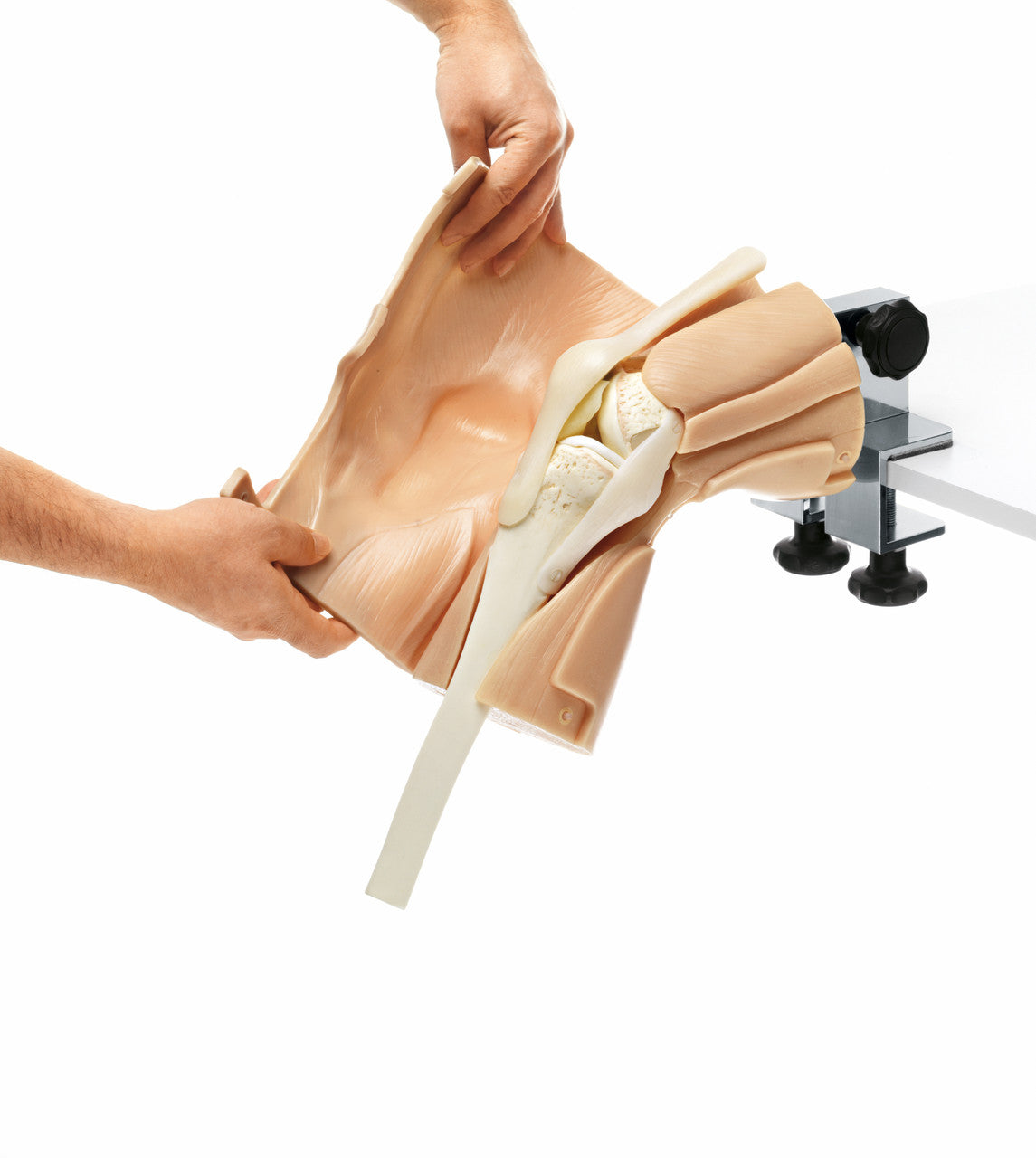 Arthroscopy Model of the Knee-Joint - skin removed