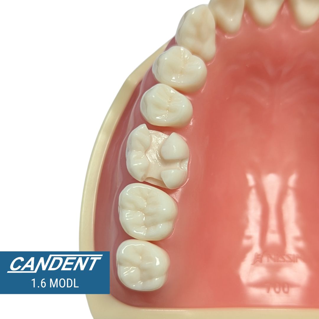 700 Series Practice Preps | Precut Teeth for NDECC Standards