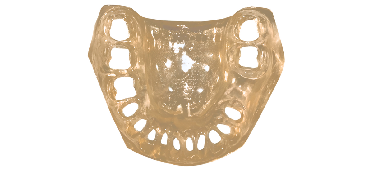 TR56C Tissue- GSD – Lower Tissue - Kilgore / Nissin