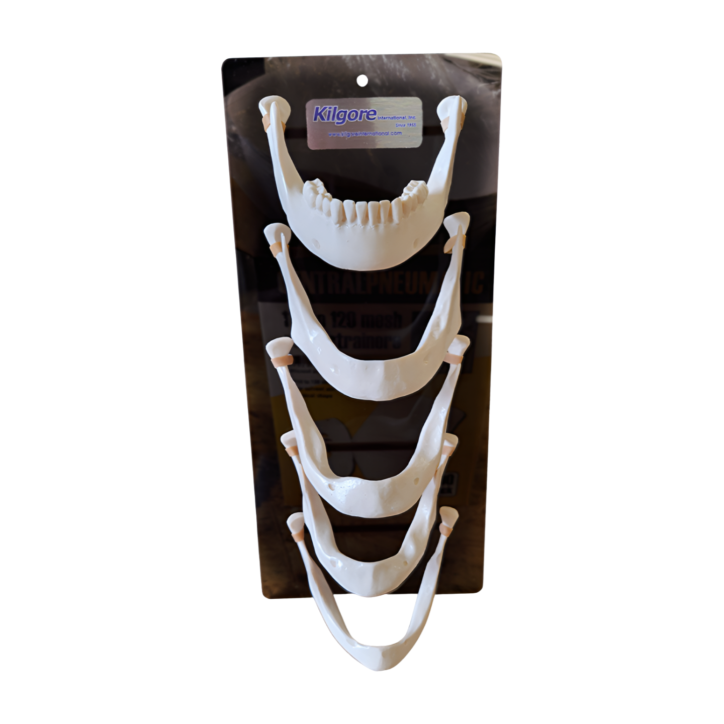 P-6-1 - Edentulous Mandible Series